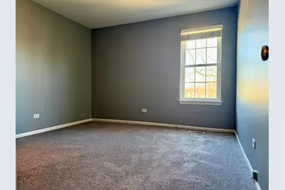 295 Chrisman Drive, Streamwood, IL 60107 - Photo 13