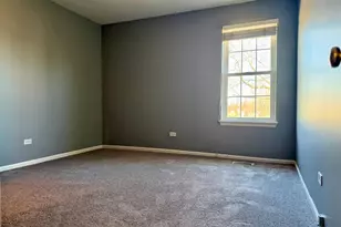 295 Chrisman Dr, Streamwood, IL 60107 - Photo 13