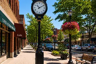 1889 Winkler Ct, Lisle, IL 60532 - Photo 31