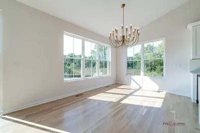 22137 W Casa Bella View, Kildeer, IL 60047 - Photo 13