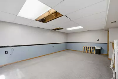 425 Walnut Drive, Streamwood, IL 60107 - Photo 15