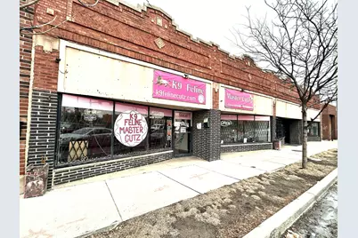 3620 W Division Street, Chicago, IL 60651 - Photo 1