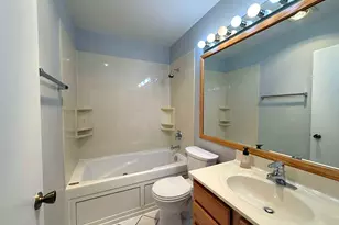 314 Wildberry Ct, Schaumburg, IL 60193 - Photo 17