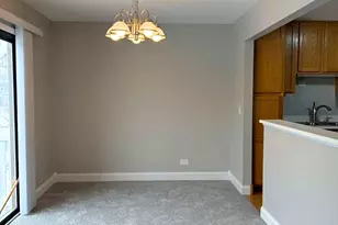 314 Wildberry Ct, Schaumburg, IL 60193 - Photo 3