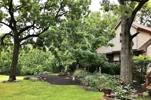 14203 S King Rd, Homer Glen, IL 60491 - Photo 15