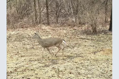 14203 S King Road, Homer Glen, IL 60491 - Photo 7