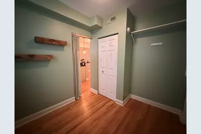 336 S Maple Avenue #2B, Oak Park, IL 60302 - Photo 17