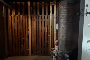 336 S Maple Ave, Oak Park, IL 60302 - Photo 19