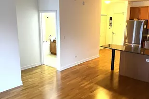 1101 S State St, Chicago, IL 60605 - Photo 5