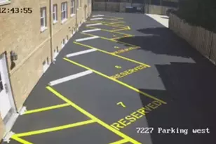 7227 Thomas St, River Forest, IL 60305 - Photo 3