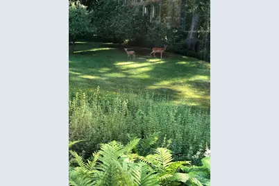 4N609 Pheasant Run Drive, Saint Charles, IL 60175 - Photo 39