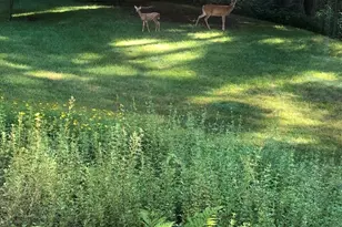 4N609 Pheasant Run Dr, Saint Charles, IL 60175 - Photo 39