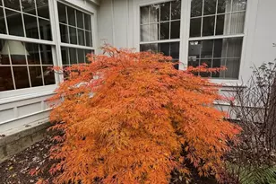 4N609 Pheasant Run Dr, Saint Charles, IL 60175 - Photo 45