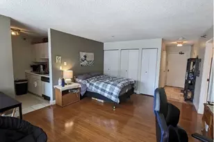 33 W Delaware Pl, Chicago, IL 60610 - Photo 5