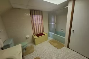 307 Court St, Streator, IL 61364 - Photo 23