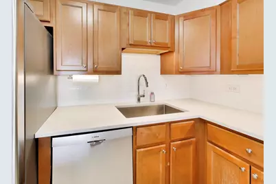 1560 N Sandburg Terrace #2411J, Chicago, IL 60610 - Photo 11