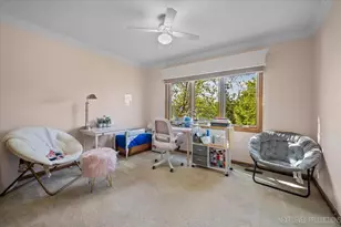 3819 Cadella Cir, Naperville, IL 60564 - Photo 23