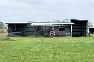 5368 N 13000W Rd, Wilmington, IL 60481 - Photo 5