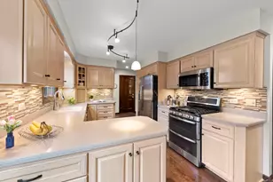 1336 Chestnut Ridge Dr, Naperville, IL 60540 - Photo 11