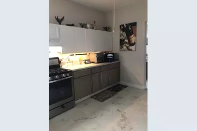 1852 W 17 Street, Chicago, IL 60608 - Photo 15