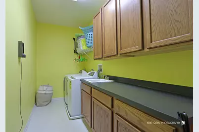 233 W Olmsted Lane, Round Lake, IL 60073 - Photo 17