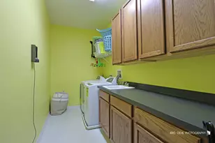 233 W Olmsted Ln, Round Lake, IL 60073 - Photo 17