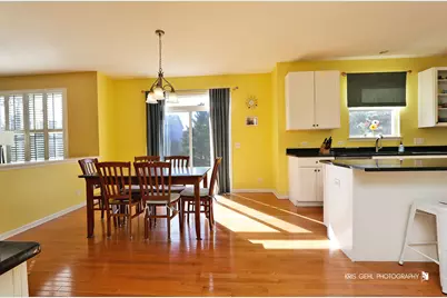 233 W Olmsted Lane, Round Lake, IL 60073 - Photo 9