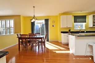 233 W Olmsted Ln, Round Lake, IL 60073 - Photo 9