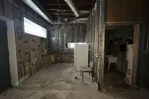 10019 S Western Ave, Chicago, IL 60643 - Photo 13