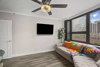 221 E Walton Place #13C, Chicago, IL 60611 - Photo 13