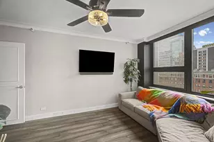 221 E Walton Pl, Chicago, IL 60611 - Photo 13