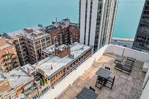 221 E Walton Pl, Chicago, IL 60611 - Photo 29