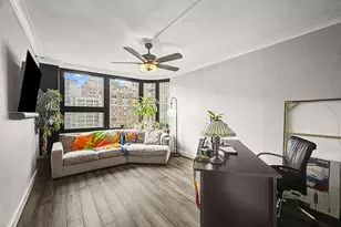 221 E Walton Pl, Chicago, IL 60611 - Photo 11