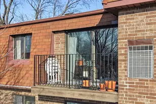 113 W Brandon Ct, Palatine, IL 60067 - Photo 15