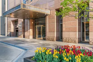 161 E Chicago Ave, Chicago, IL 60611 - Photo 1