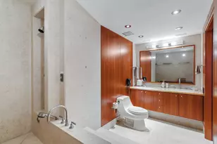 161 E Chicago Ave, Chicago, IL 60611 - Photo 29