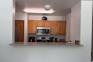 345 N La Salle Dr, Chicago, IL 60654 - Photo 3