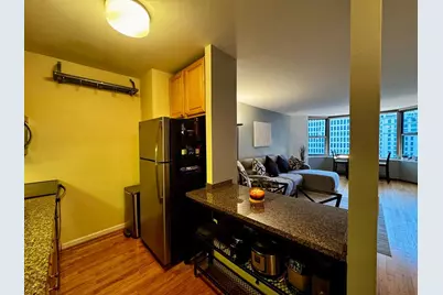 535 N Michigan Avenue #2511, Chicago, IL 60611 - Photo 7