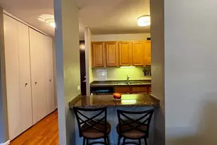 535 N Michigan Ave, Chicago, IL 60611 - Photo 9