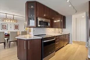 1560 N Sandburg Terrace, Chicago, IL 60610 - Photo 11