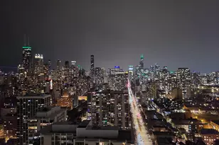 1560 N Sandburg Terrace, Chicago, IL 60610 - Photo 39