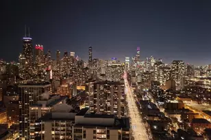 1560 N Sandburg Terrace, Chicago, IL 60610 - Photo 41