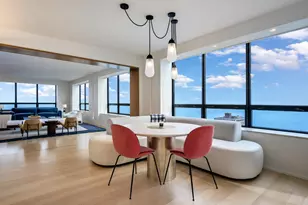 180 E Pearson St, Chicago, IL 60611 - Photo 5