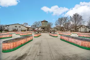 20162 S Fairwood Ct, Frankfort, IL 60423 - Photo 25