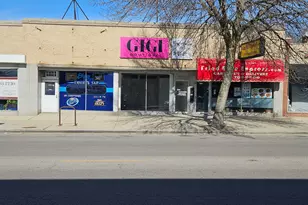 7108 W Higgins Ave, Chicago, IL 60656 - Photo 1