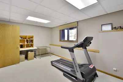 21 N Highview Circle, Hawthorn Woods, IL 60047 - Photo 35