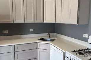 1215 W Grand Ave, Chicago, IL 60622 - Photo 3