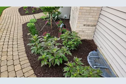 1220 Davey Drive, Batavia, IL 60510 - Photo 63