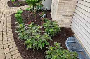 1220 Davey Dr, Batavia, IL 60510 - Photo 63