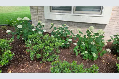 1220 Davey Drive, Batavia, IL 60510 - Photo 65